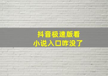 抖音极速版看小说入口咋没了