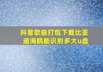 抖音歌曲打包下载比亚迪海鸥能识别多大u盘