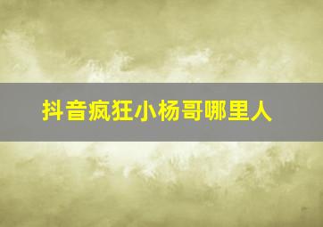 抖音疯狂小杨哥哪里人