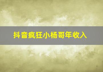 抖音疯狂小杨哥年收入