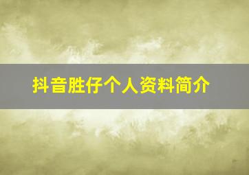 抖音胜仔个人资料简介