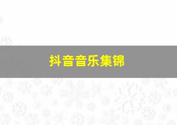 抖音音乐集锦