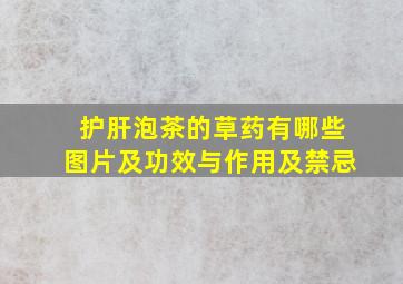 护肝泡茶的草药有哪些图片及功效与作用及禁忌