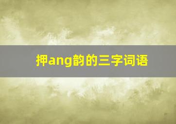 押ang韵的三字词语