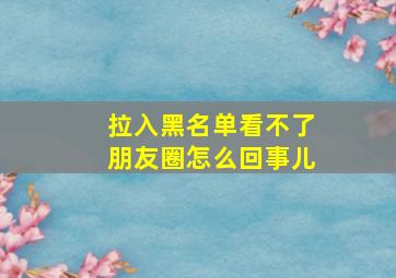 拉入黑名单看不了朋友圈怎么回事儿