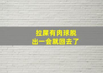 拉屎有肉球脱出一会就回去了