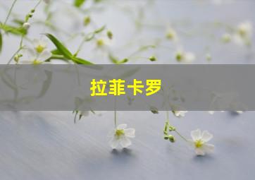 拉菲卡罗