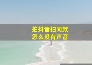 拍抖音拍同款怎么没有声音