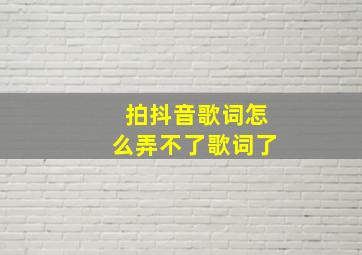 拍抖音歌词怎么弄不了歌词了