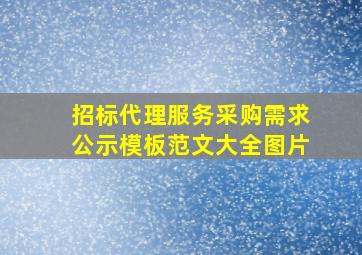 招标代理服务采购需求公示模板范文大全图片