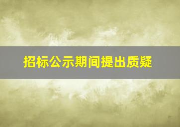 招标公示期间提出质疑