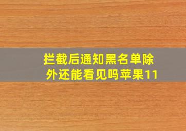 拦截后通知黑名单除外还能看见吗苹果11