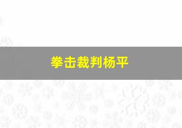 拳击裁判杨平