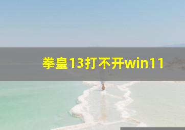 拳皇13打不开win11