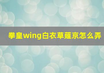 拳皇wing白衣草薙京怎么弄