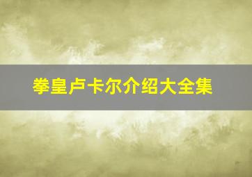 拳皇卢卡尔介绍大全集