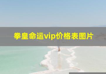 拳皇命运vip价格表图片