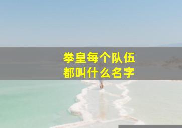 拳皇每个队伍都叫什么名字