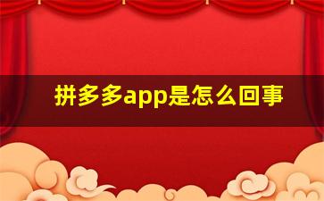 拼多多app是怎么回事