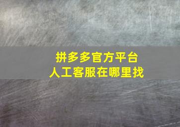 拼多多官方平台人工客服在哪里找