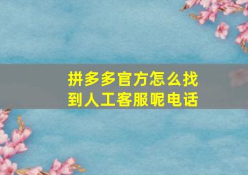 拼多多官方怎么找到人工客服呢电话