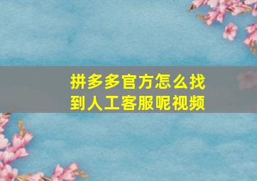 拼多多官方怎么找到人工客服呢视频