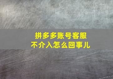 拼多多账号客服不介入怎么回事儿