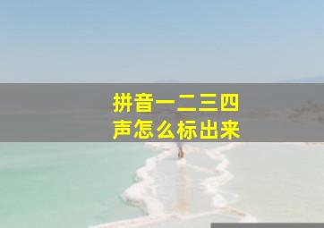 拼音一二三四声怎么标出来