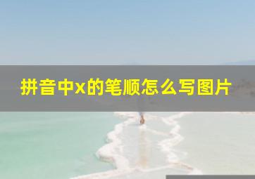 拼音中x的笔顺怎么写图片