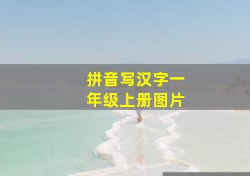 拼音写汉字一年级上册图片