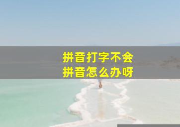 拼音打字不会拼音怎么办呀