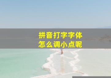 拼音打字字体怎么调小点呢