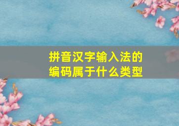 拼音汉字输入法的编码属于什么类型