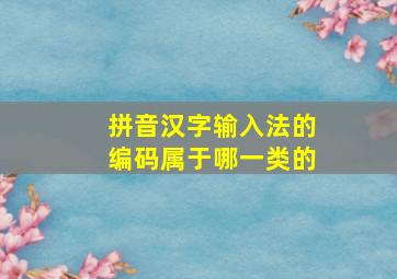 拼音汉字输入法的编码属于哪一类的