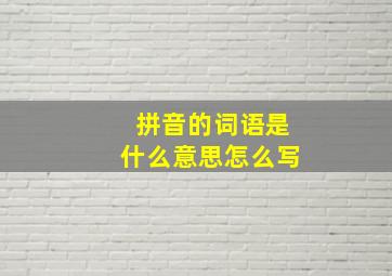 拼音的词语是什么意思怎么写