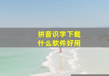 拼音识字下载什么软件好用