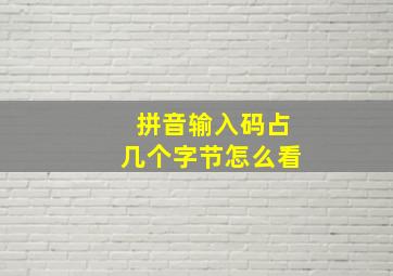 拼音输入码占几个字节怎么看