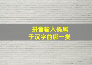 拼音输入码属于汉字的哪一类