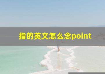 指的英文怎么念point