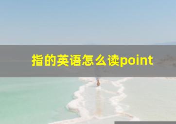 指的英语怎么读point