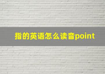 指的英语怎么读音point