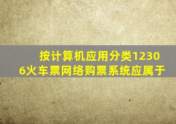 按计算机应用分类12306火车票网络购票系统应属于