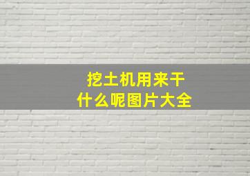 挖土机用来干什么呢图片大全