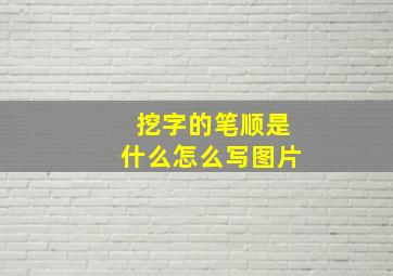 挖字的笔顺是什么怎么写图片