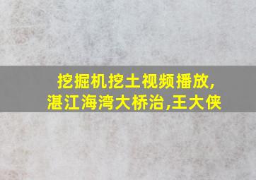 挖掘机挖土视频播放,湛江海湾大桥治,王大侠