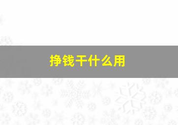 挣钱干什么用