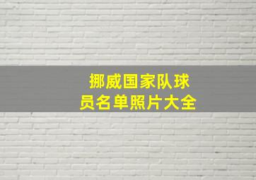 挪威国家队球员名单照片大全