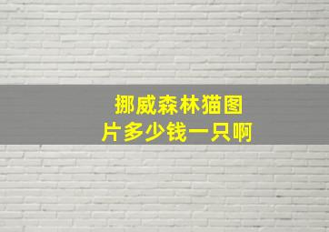 挪威森林猫图片多少钱一只啊