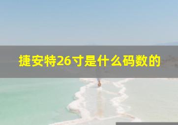 捷安特26寸是什么码数的