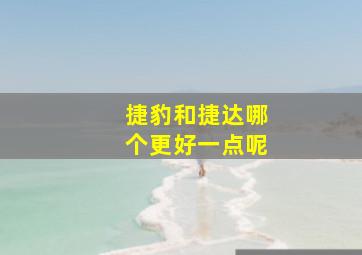 捷豹和捷达哪个更好一点呢